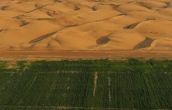 聚合氯化鋁和聚丙烯酰胺哪個能防沙固沙？